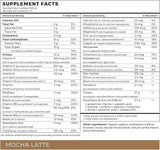 Absorb Plus Vegan Mocha - 1kg tub